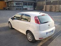 Usata Fiat Punto Easy 75 CV (55 kW) 2014 Utilitaria