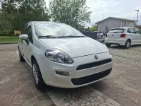 Usata Fiat Punto Pop 69 CV (50 kW) 2015 Bianco Utilitaria