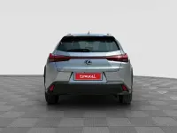 Usata Lexus UX 152 CV (111 kW) 2024 Sonic platinum SUV