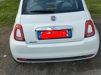 Usata Fiat 500 Pop 69 CV (50 kW) 2016 Bianco Utilitaria
