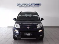 Usata Fiat Panda 4x4 S 95 CV (69 kW) 2017 Blu Utilitaria