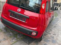 Usata Fiat Panda 69 CV (50 kW) 2014 Rosso Berlina