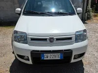 Usata Fiat Panda 4x4 Climbing 75 CV (55 kW) 2012 Bianco Utilitaria