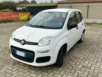 Usata Fiat Panda Easy 69 CV (50 kW) 2016 Bianco Utilitaria