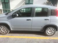 Usata Fiat Panda 2023 Utilitaria