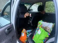 Usata Opel Corsa 60 CV (44 kW) 1997 Bianco Utilitaria