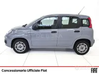 Usata Fiat Panda Easy 70 CV (51 kW) 2020 Grigio Utilitaria