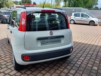 usata Fiat Panda 1.2 Easy Aziendale Italia 50.000 KM