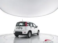 Usata Fiat Panda S 69 CV (50 kW) 2023 Bianco Utilitaria