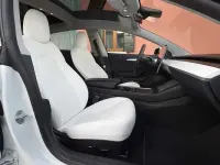 Usata Tesla Model 3 Performance 155 kW (211 CV) 2021 Berlina