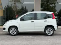 Usata Fiat Panda Lounge 70 CV (51 kW) 2020 Bianco Utilitaria