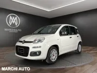 Usata Fiat Panda Easy 69 CV (50 kW) 2016 Bianco Utilitaria
