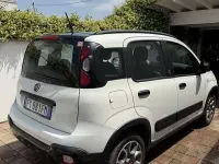 Usata Fiat Panda Connect 69 CV (50 kW) 2020 Utilitaria