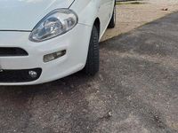 Usata Fiat Punto Evo Dynamic 77 CV (56 kW) 2013 Bianco Utilitaria