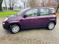 Usata Fiat Panda Easy 69 CV (50 kW) 2012 Lilla Utilitaria