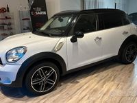 usata Mini Countryman 1.6 benzina 82 cv