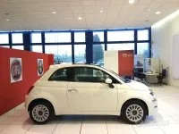 Usata Fiat 500 Lounge 69 CV (50 kW) 2016 Other Berlina