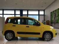 Nuova Fiat Panda S 70 CV (51 kW) 2026 Giallo Utilitaria