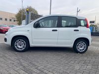 Usata Fiat Panda Easy 69 CV (50 kW) 2019 Bianco Utilitaria