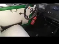 Usata Fiat 500 Collezione 18 CV (13 kW) 1970 Verde Utilitaria
