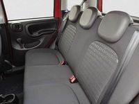 Usata Fiat Panda Cross Cross 69 CV (50 kW) 2025 Rosso Utilitaria