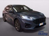 Usata Ford Kuga ST-Line X 225 CV (165 kW) 2023 Grigio SUV