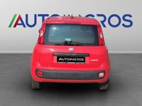 Usata Fiat Panda Easy 70 CV (51 kW) 2021 Rosso Utilitaria