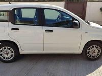 Usata Fiat Panda Connect 69 CV (50 kW) 2020 Utilitaria