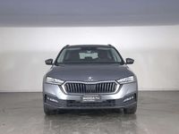 Käytetty Skoda Octavia Ambition 116 HP (85 kW) 2022 Harmaa Farmari