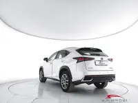 Usata Lexus NX300h Executive Line 155 CV (114 kW) 2018 Bianco SUV