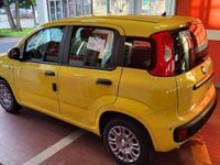 Nuova Fiat Panda Pop 65 CV (47 kW) 2026 Giallo Berlina