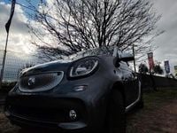 Usata Smart ForFour Prime 70 CV (51 kW) 2016 Grigio Utilitaria