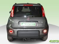 Usata Fiat Panda 70 CV (51 kW) 2023 Grigio Utilitaria