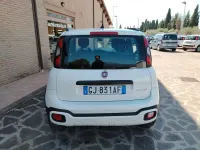 Usata Fiat Panda Cross Cross 70 CV (51 kW) 2022 Bianco Utilitaria