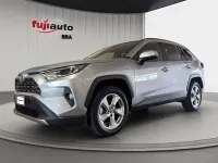 Usata Toyota RAV4 Hybrid Lounge 222 CV (163 kW) 2019 Grigio SUV