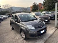Usata Fiat Panda Easy 69 CV (50 kW) 2019 Grigio Utilitaria
