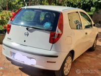 Usata Fiat Punto 60 CV (44 kW) 2009 Bianco Utilitaria
