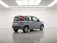 usata Fiat Panda 3ª serie 1.0 FireFly S&S Hybrid