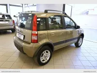 Usata Fiat Panda 4x4 69 CV (50 kW) 2008 Marrone Utilitaria