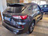 usata Ford Kuga 2.5 Full Hybrid 190 CV CVT 2WD usato