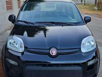 Usata Fiat Panda City Life 69 CV (50 kW) 2023 Nero Utilitaria