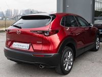 usata Mazda CX-30 Skyactiv-G 150 CV M Hybrid 2WD Exceed del 2020 usata a Silea