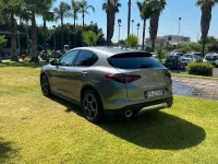 Usata Alfa Romeo Stelvio Tech Edition 160 CV (117 kW) 2019 Grigio SUV