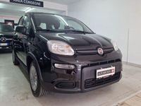 usata Fiat Panda 3ª serie 1.0 FireFly S&S Hybrid