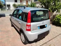 Usata Fiat Panda 60 CV (44 kW) 2008 Grigio Utilitaria