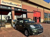 Usata Fiat Panda 4x4 S 84 CV (61 kW) 2013 Verde metallizzato Utilitaria