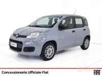 Usata Fiat Panda Easy 70 CV (51 kW) 2020 Grigio Utilitaria