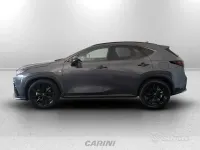 Usata Lexus NX450h+ Sport Line 309 CV (227 kW) 2024 Grigio SUV