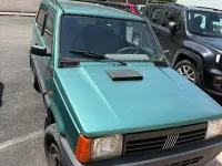Usata Fiat Panda 4x4 54 CV (39 kW) 1999 Verde Utilitaria