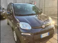 Usata Fiat Panda Lounge 69 CV (50 kW) 2017 Utilitaria